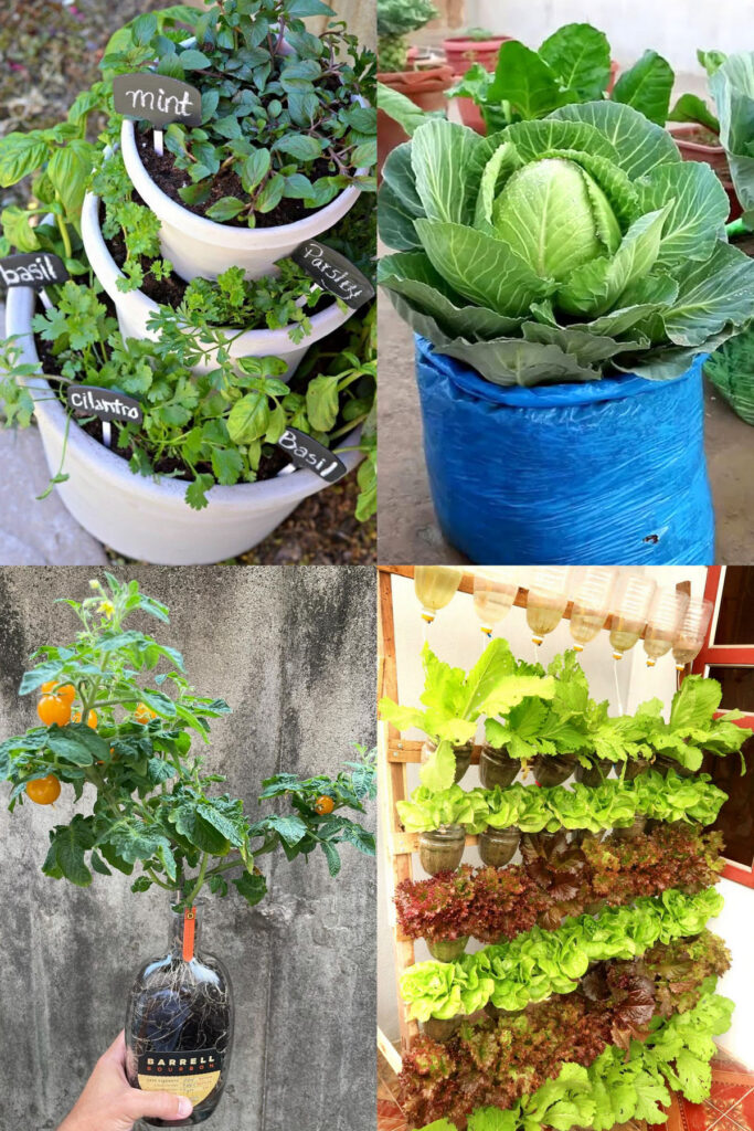 35 Creative Container Vegetable Garden Ideas - A Piece Of Rainb