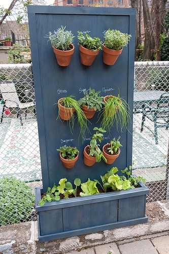 Outdoor Herb Garden Ideas - The Idea Ro