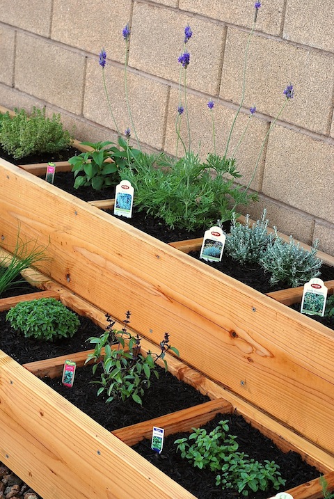 Outdoor Herb Garden Ideas - The Idea Ro