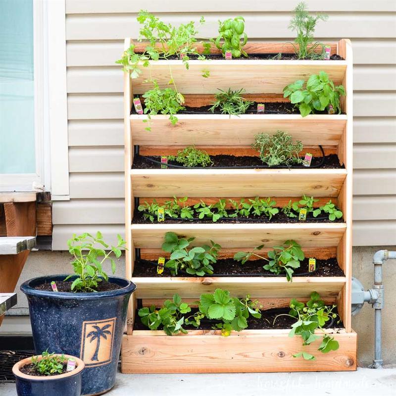 Vertical Herb Garden | Kreg To