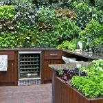 Outdoor Kitchen Edible Planters | Platt Hill Nursery | Blog & Advi