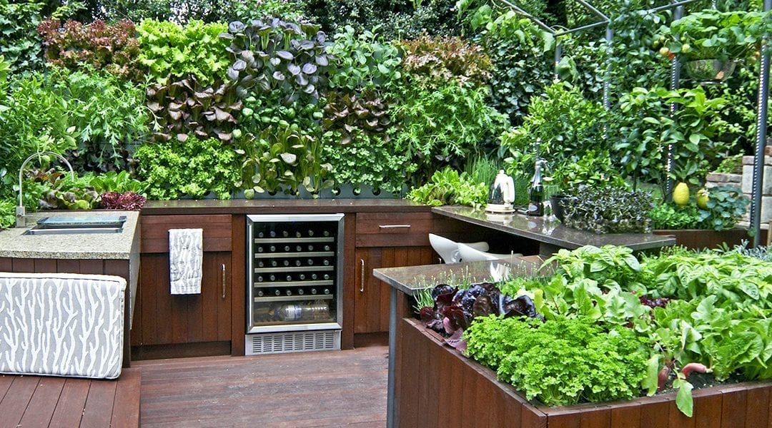 Outdoor Kitchen Edible Planters | Platt Hill Nursery | Blog & Advi