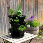 Garden Stacker Planter Culinary Herb Garden Kit - Color: Black .