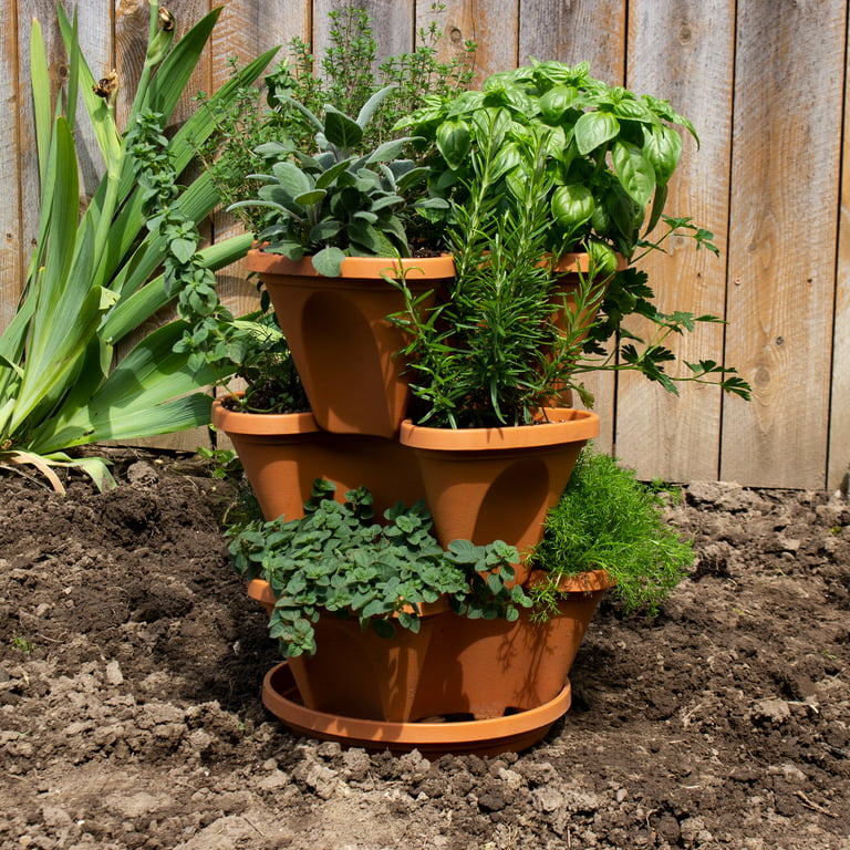 Garden Stacker Planter Medicinal & Herbal Tea Herb Garden Kit .