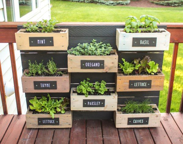 Herb Wall Planter | RUGGY DIY | Herb garden wall, Diy herb garden .