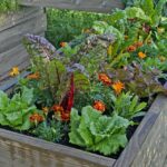 Planting Guide for Home Gardening in Alabama - Alabama Cooperative .