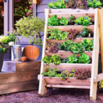 Know Some Easy Urban Home Gardening Ti