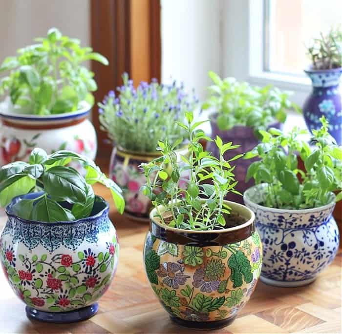 DIY Indoor Herb Garden Ideas - Worthing Court | DIY Home Decor .