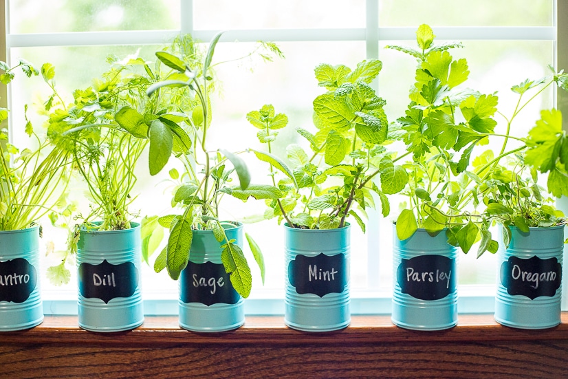 How to Make an Indoor Window Sill Herb Garden - The Gracious Wi