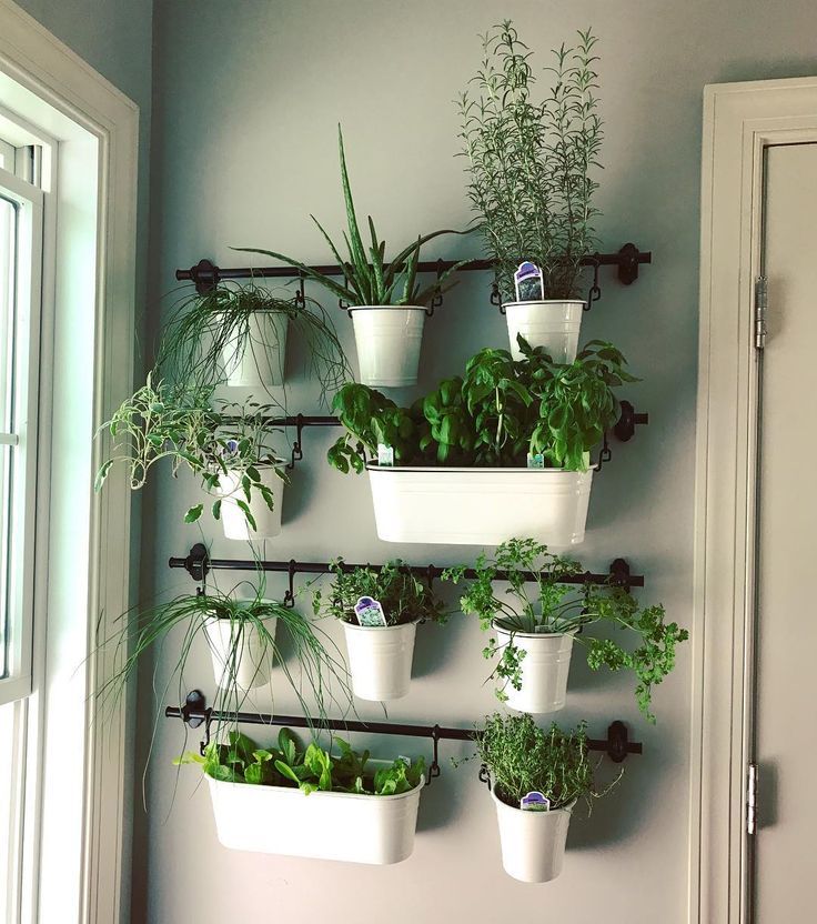 Indoor herb gardens on Instagram for the kitchen | Herb garden .