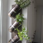 Indoor Herb Garden // Mason Jar Herb Garden // Mason Jar Decor .