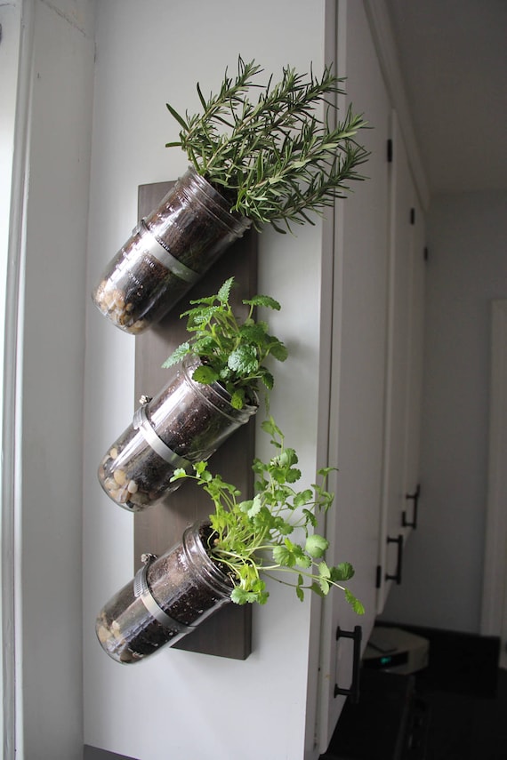 Indoor Herb Garden // Mason Jar Herb Garden // Mason Jar Decor .