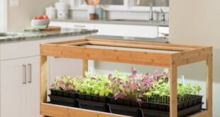 How to Grow an Indoor Herb Garden 2019 | The Strategi