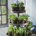 10 Easy DIY Herb Gardens - Rachel Hollis | Diy herb garden, Indoor .