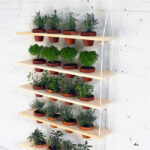 5 Easy to Create Indoor Herb Gardens - Inspired By Th