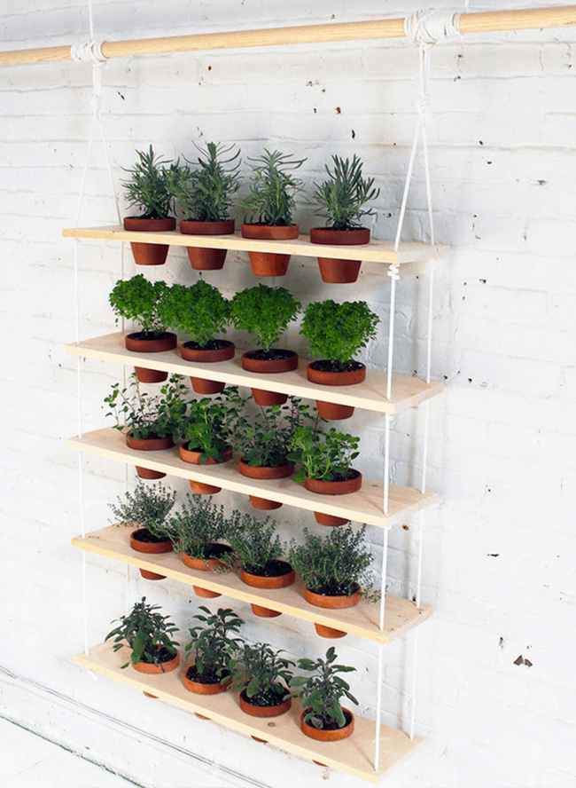 5 Easy to Create Indoor Herb Gardens - Inspired By Th