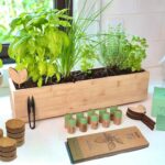 FLEUR DU BIEN Indoor Herb Garden Kit Planter, 6 Herb Seed Packs .