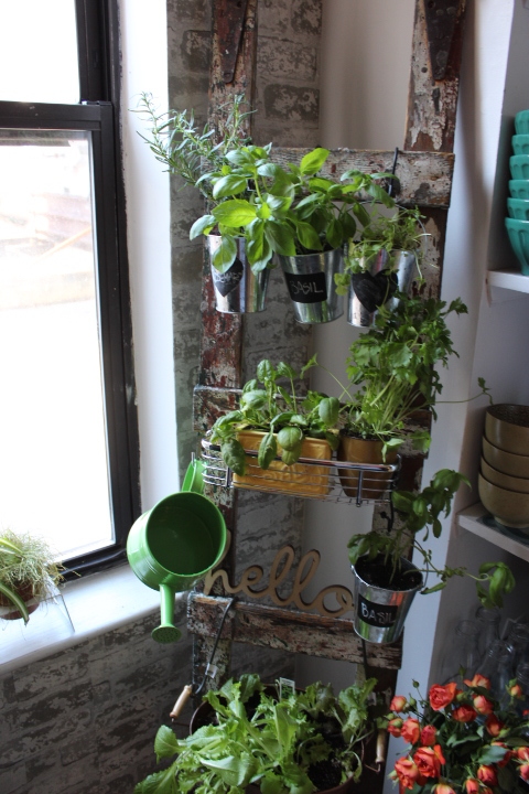 A Charming Ladder Herb Garden — Once & Future Ho