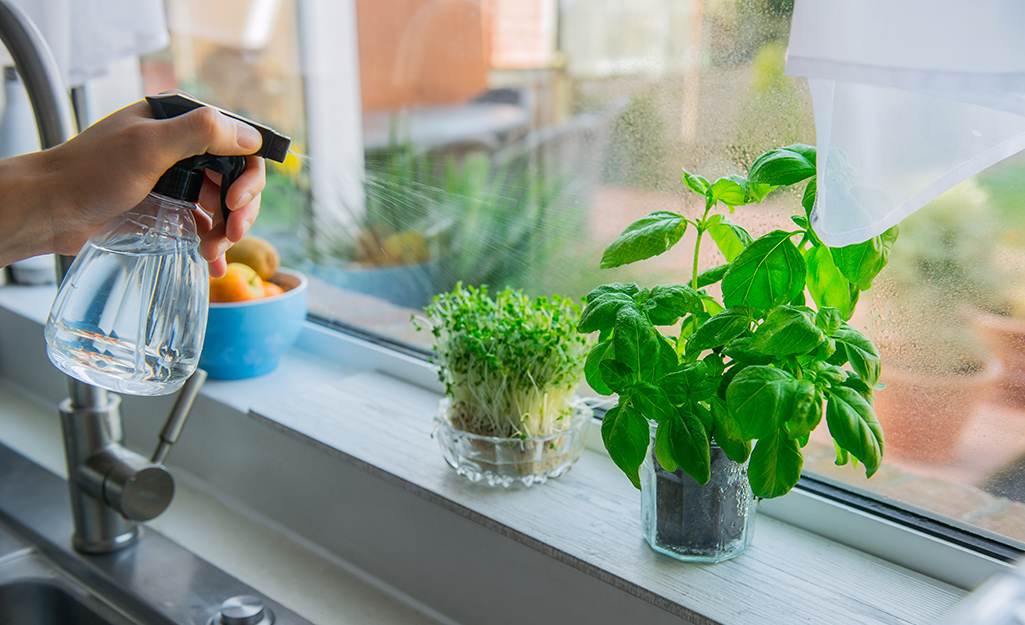 How to Grow Herbs Indoors - The Home Dep