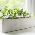 How to create a beautiful kitchen herb gard