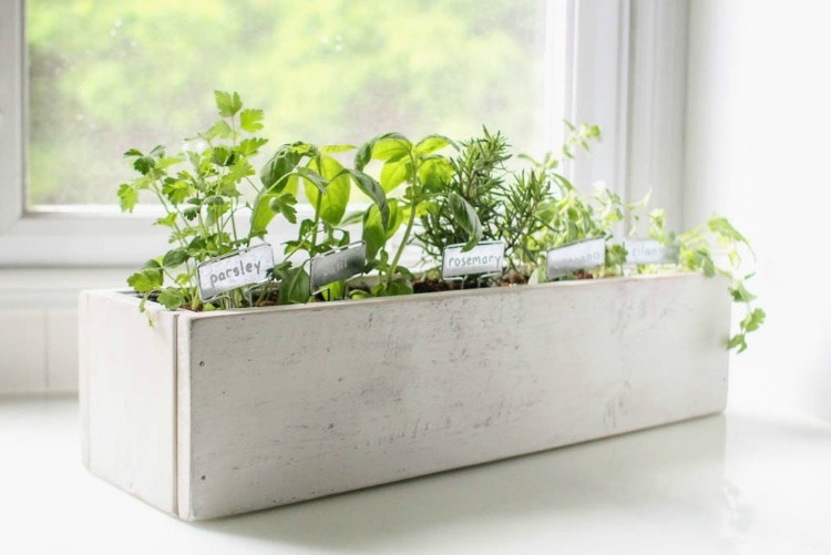 How to create a beautiful kitchen herb gard