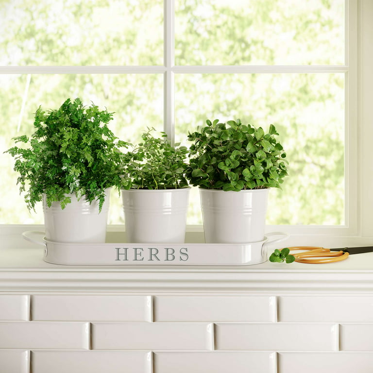 Barnyard Designs Farmhouse Herb Garden Planter Indoor Planter Set .