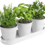 Amazon.com : Barnyard Designs Herb Garden Planter Indoor Planter .