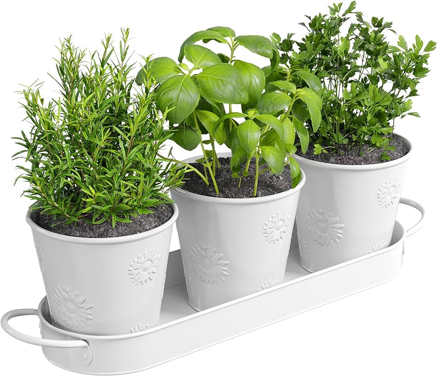 Amazon.com : Barnyard Designs Herb Garden Planter Indoor Planter .