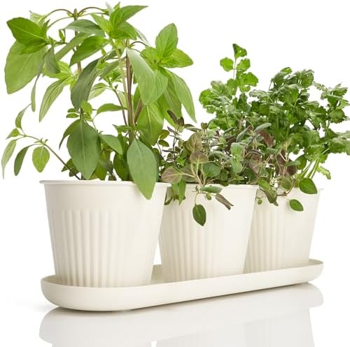 Amazon.com : KIBAGA Beautiful Herb Garden Planter Indoor Set of 3 .