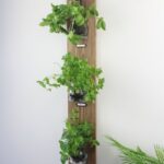 Wall Hanging Herb Garden With Rustic Glass Pots, Kitchen Decor .