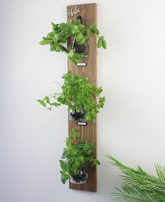 Wall Hanging Herb Garden With Rustic Glass Pots, Kitchen Decor .