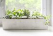 How to create a beautiful kitchen herb gard