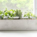 How to create a beautiful kitchen herb gard