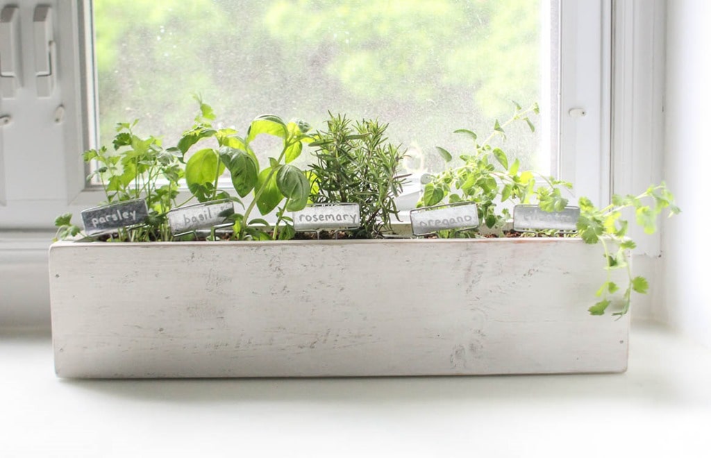 Creating a Stunning Kitchen Herb Garden
Planter for Your Home