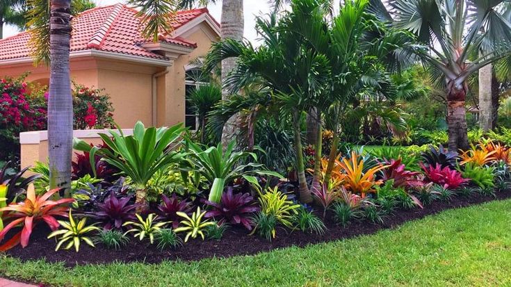 Tropical Garden with Palm Trees and Flowe