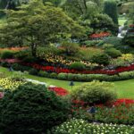 Landscape Garden Pictures | Download Free Images on Unspla