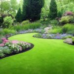 Premium Photo | Greenflat lawn with delicate flowe