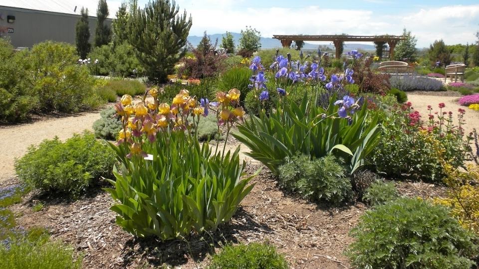 Water-wise Landscape Ideas for Existing Landscapes | U