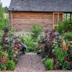 Garden Border Ideas: Beautiful Planting Ideas for the Garden | BBC .