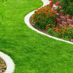 23 Cheap & Amazing Garden Edging Ideas You Can Try | Trees.c