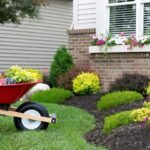 How to Improve Lawn and Landscape to Enhance Home Curb Appe