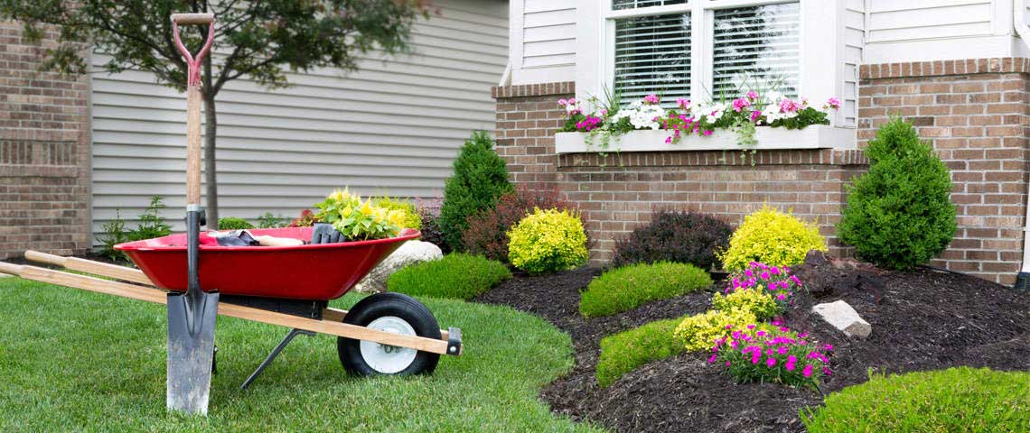 How to Improve Lawn and Landscape to Enhance Home Curb Appe