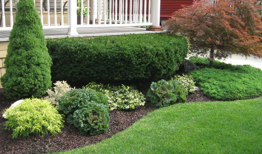 How to Create Natural Edging - Beyond Behnk