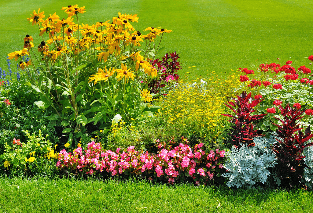 Maintaining Summer Landscapes & Flower Beds - ExperiGre