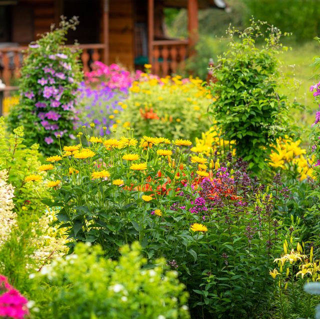 33 Best Flower Bed Ideas | Country Livi