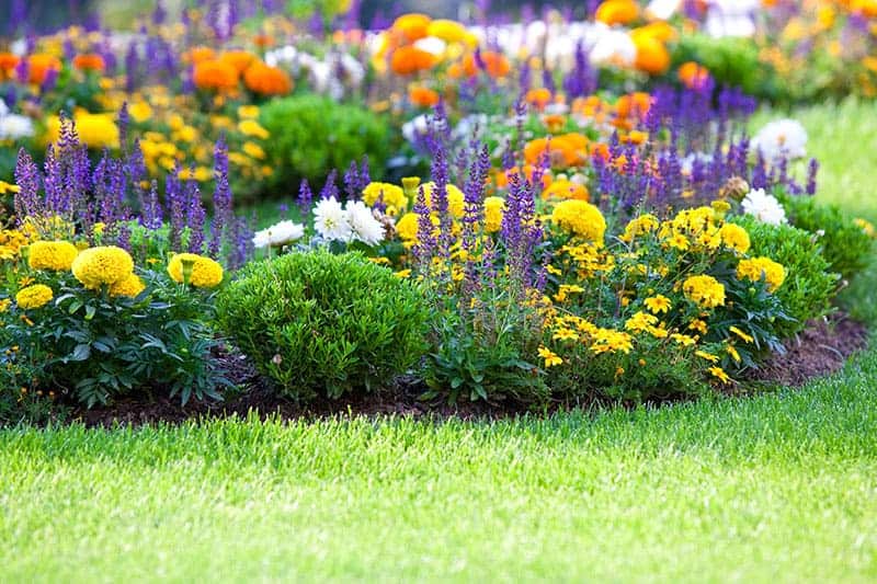 25 Beautiful Flower Bed Ideas | Trees.c