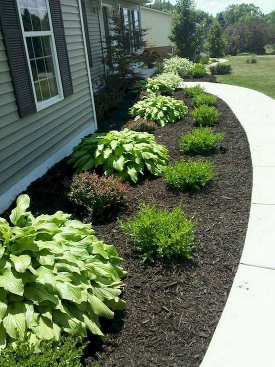 140 Front of House Landscape Ideas | house landscape, front yard .