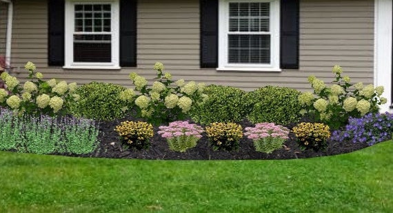 Landscape Design Plan for Front Yard Landscape the York - Etsy Denma