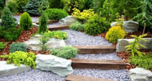 75 Gravel Landscaping Ideas You'll Love - May, 2024 | Hou