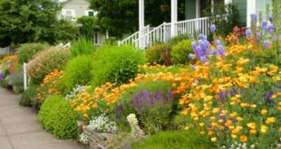 Hillside Landscaping: How to Landscape on a Slope | Garden Desi